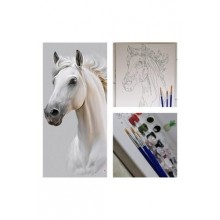 Sayılarla Boyama Fırça Ve Boya Hediyeli Tuval Seti / Beyaz At