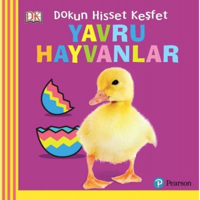 Dokun Hisset Keşfet / Yavru Hayvanlar
