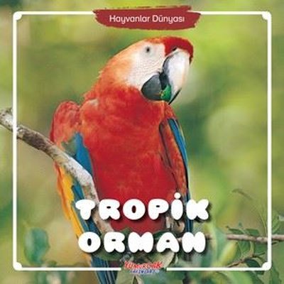 Hayvanlar Dünyası / Tropik Orman