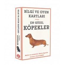 Bilgi ve Oyun Kartları / En güzel Köpekler