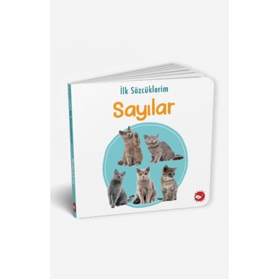 İlk Sözcüklerim - Sayılar