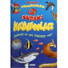 Meraklı Pencereler / Sudaki Hayvanlar