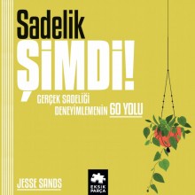 Sadelik Şimdi