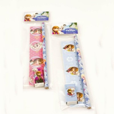 Frozen Kırtasiye Seti