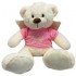 Oyuncak Kanatlı Peluş Melek Ayı / 55 cm