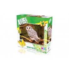 100 Parça Puzzle Animal Planet / Bengal Eagle Owl