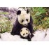 100 Parça Puzzle Animal Planet / Panda Mother