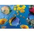 100 Parça Puzzle Animal Planet / UnderWater