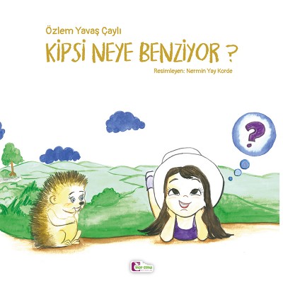 Kipsi Neye Benziyor?