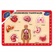 Ahşap Tutmalı Vücudumuzu Tanıyalım Puzzle