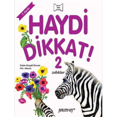 Haydi Dikkat 2
