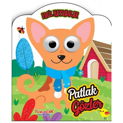 Patlak Gözler / Evcil Hayvanlar