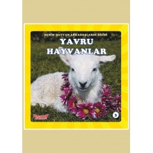 Benim Hayvan Arkadaşlarım / Yavru Hayvanlar
