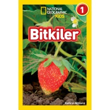 Bitkiler