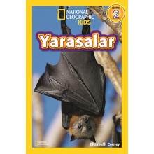 Yarasalar