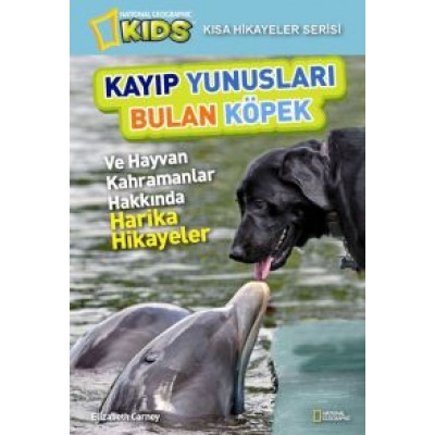 Kayıp Yunusları Bulan Köpek