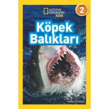Köpek Balıkları
