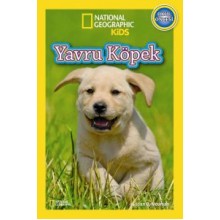 Yavru Köpekler
