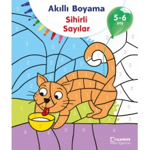 Akıllı Boyama Sihirli Sayılar 5-6 Yaş