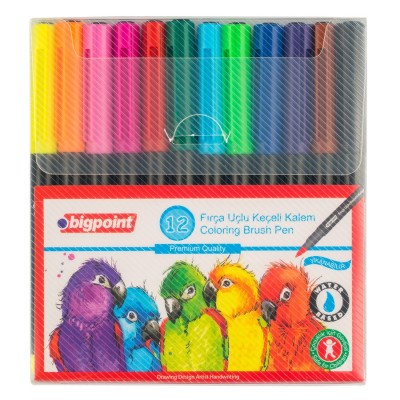 Bigpoint Fırça Uçlu Keçeli Boya 12'li Set