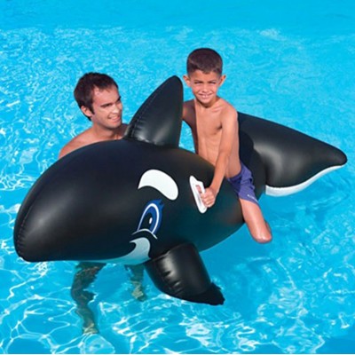 Tutacaklı Köpek Balığı