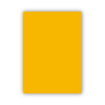 Bigpoint Fon Kartonu 50x70cm 160 Gram Altın Sarısı