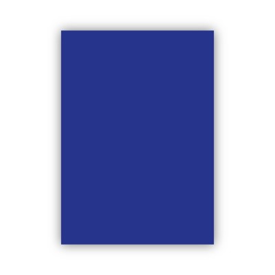 Bigpoint Fon Kartonu 50x70cm 160 Gram Lacivert