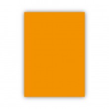 Bigpoint Fon Kartonu 50x70cm 160 Gram Turuncu