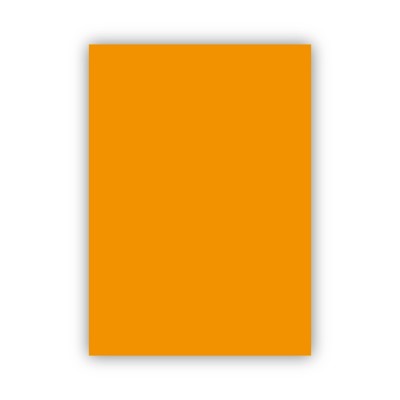 Bigpoint Fon Kartonu 50x70cm 160 Gram Turuncu