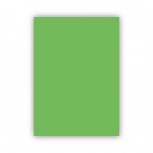 Bigpoint Fon Kartonu 50x70cm 160 Gram Açık Yeşil