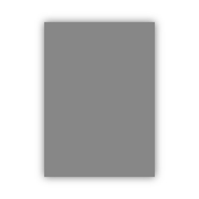 Bigpoint Fon Kartonu 50x70cm 160 Gram Gri