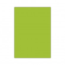Bigpoint Fosforlu Fon Kartonu 50x70cm Yeşil