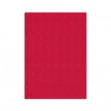 Bigpoint Eva 50x70cm Kırmızı