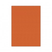 Bigpoint Eva 50x70cm Turuncu