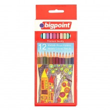 Bigpoint Metalik Kuru Boya Kalemi 12 Renk
