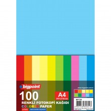 Bigpoint A4 Renkli Fotokopi Kağıdı 10 Renk 100'lü Paket