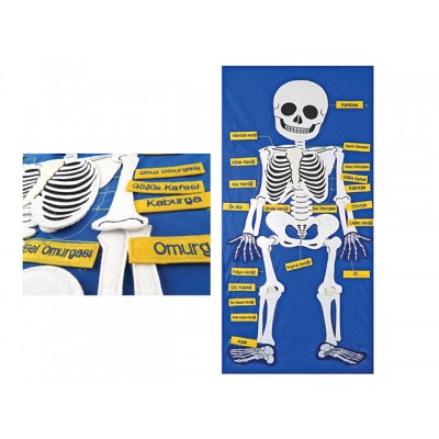 Cırtlı Kumaş Pano İskelet