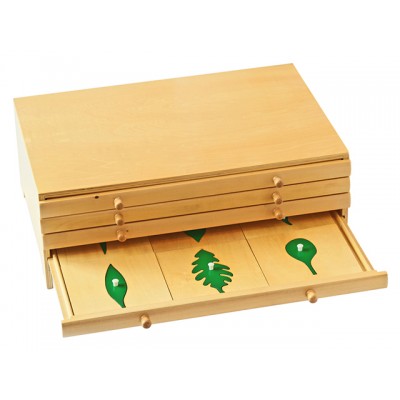 Botanik Yaprak Kabini