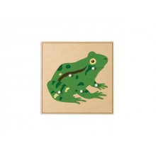 Kurbağa Yapboz 24x24 Cm