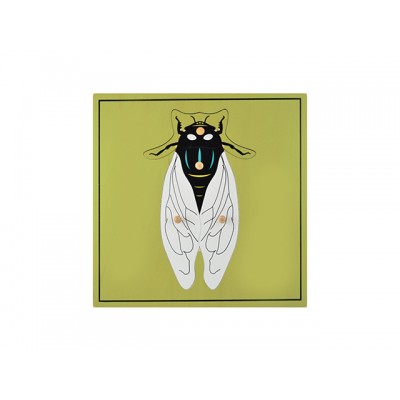 Sinek Yapboz 24x24 Cm